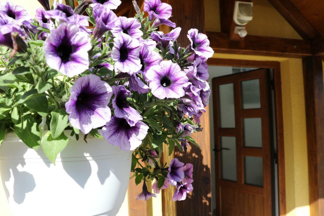 Guesthouse Mario Korenica Bagian luar foto