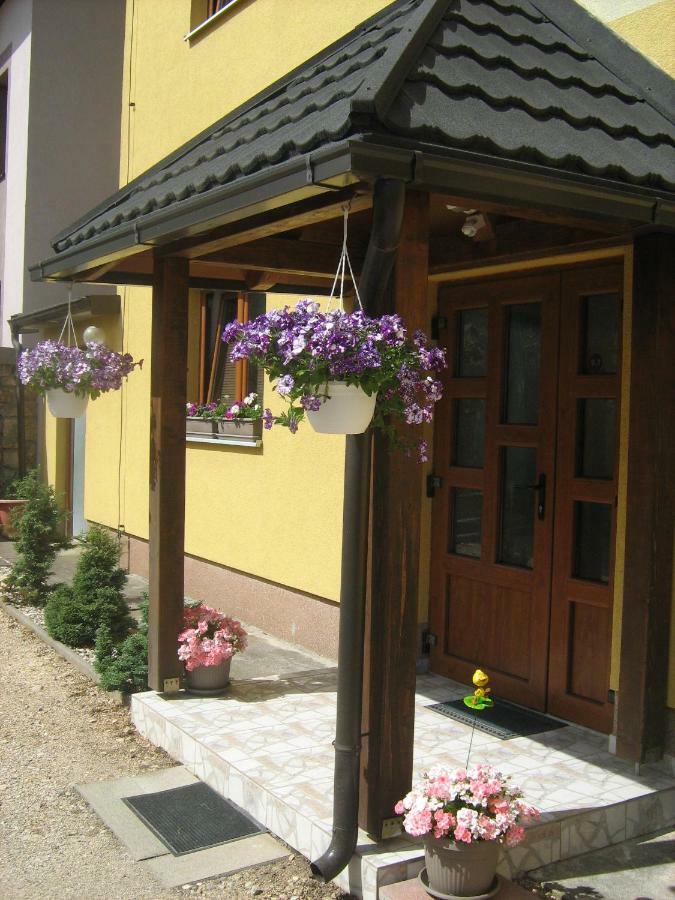 Guesthouse Mario Korenica Bagian luar foto